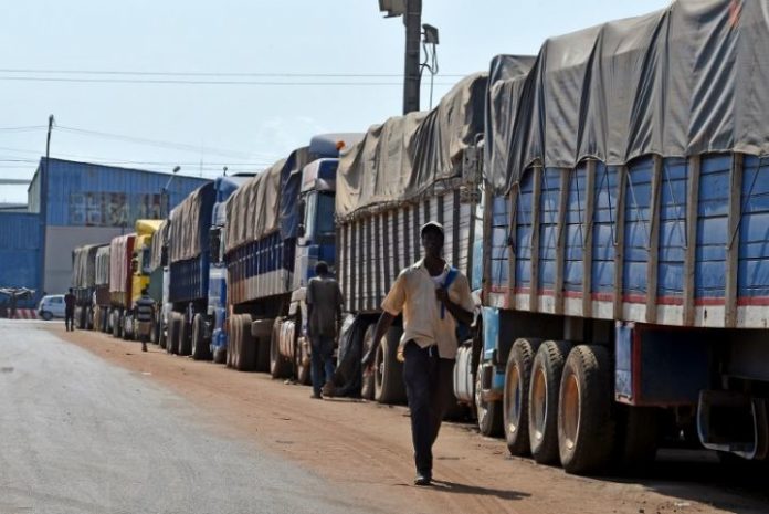 Côte d’Ivoire : la noix de cajou en crise