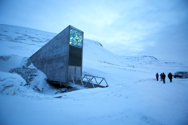 Changement climatique. Le permafrost entourant la banque mondiale de graines a fondu