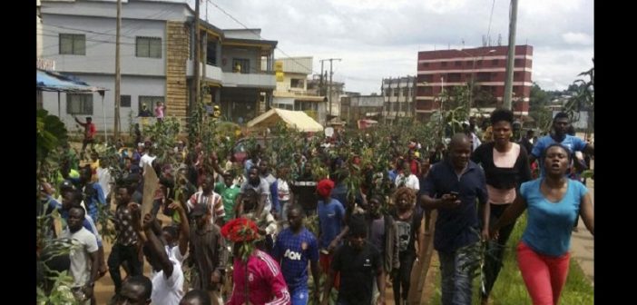 CAMEROUN/CRISE ANGLOPHONE: RETOUR SUR SES ORIGINES, VOILÀ DÉJÀ UN AN!