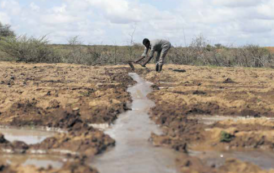 Côte d’Ivoire  : la BAD confirme son appui à la transformation de l’agriculture