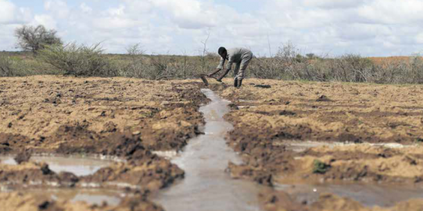 Côte d’Ivoire  : la BAD confirme son appui à la transformation de l’agriculture