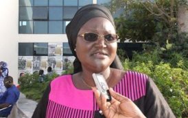 Sénégal : le gouvernement va mettre en place une commission pour faciliter l’accès des femmes au foncier rural