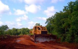 Côte d’Ivoire : 11 000 ha de terres agricoles au cœur d’un bras de fer entre l’Etat et des communautés locales à Famienkro