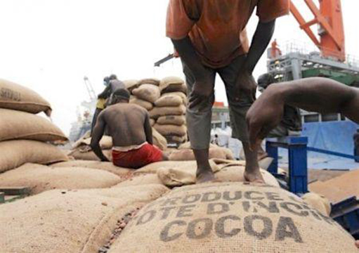 La Côte d’Ivoire pourrait perdre 400 000 tonnes de cacao en 2017/2018 en raison de la contrebande