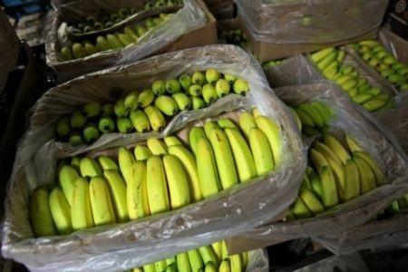 Le chiffre d’affaires de PHP, filiale camerounaise de la Compagnie fruitière, en baisse de 5 milliards FCFA en 2017