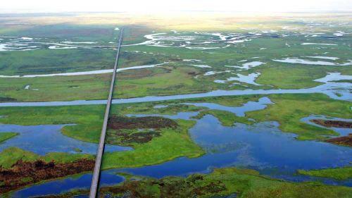 Green bonds : quand le marché financier s’attaque au réchauffement climatique