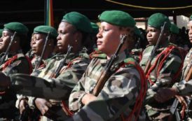 Classement des puissances militaires africaines en 2019, selon le Global Fire Power