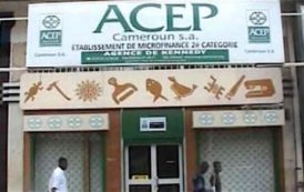 Entre 2012 et 2016, Acep Cameroun a octroyé 8,5 milliards de FCfa de crédits aux entrepreneurs ruraux