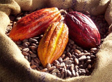 La Côte d’Ivoire a vendu par anticipation 940 000 tonnes de cacao de la saison 2017/2018