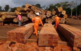 Le Gabon a affiché une hausse de sa balance commerciale en 2017 de près de 40%