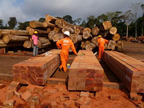 Le Gabon a affiché une hausse de sa balance commerciale en 2017 de près de 40%