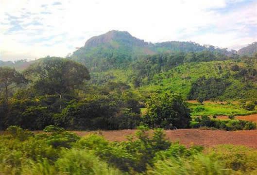 La Côte d’Ivoire se prépare à délimiter les territoires villageois de l’Ouest