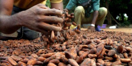 La BAD envisage de débloquer 1,2 milliard $ en faveur des secteurs ghanéen et ivoirien du cacao