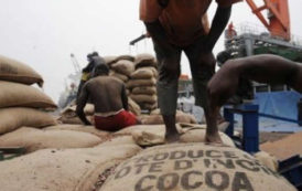 Les arrivées de cargaisons de cacao aux ports ivoiriens ont grimpé de 15 % durant la campagne principale