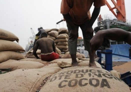 Les arrivées de cargaisons de cacao aux ports ivoiriens ont grimpé de 15 % durant la campagne principale