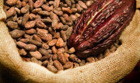 Ghana : vers un meilleur accès des broyeurs locaux aux fèves de cacao de première qualité ?