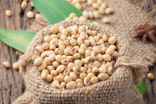 Cameroon: exports of soybean to Nigeria create difficulties for local processing units