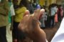 Cameroun :  MAURICE KAMTO annonce des jours sombres pour le Cameroun [Vidéo]