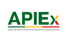 Bénin: 22 mille entreprises créées en 2018 selon Apiex