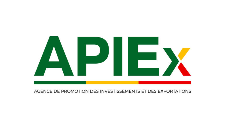 Bénin: 22 mille entreprises créées en 2018 selon Apiex