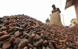 Le Conseil du Café-Cacao signe un protocole d’accord avec IDH