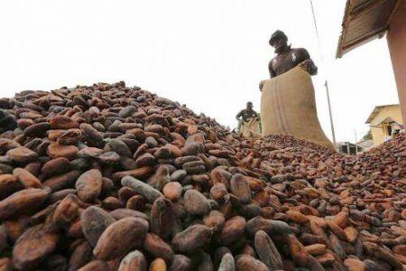 Le Conseil du Café-Cacao signe un protocole d’accord avec IDH