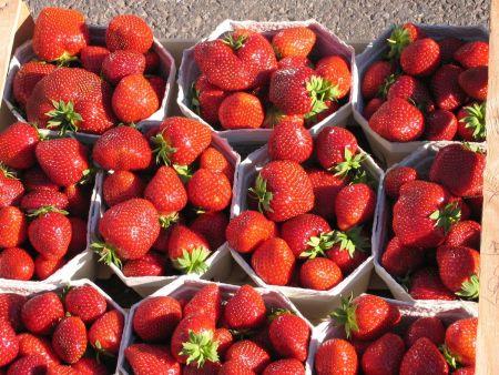 L’Arabie saoudite ouvre son marché aux exportations égyptiennes de fraises et de piments