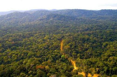 Le Gabon va mobiliser 1 500 milliards Fcfa pour le climat