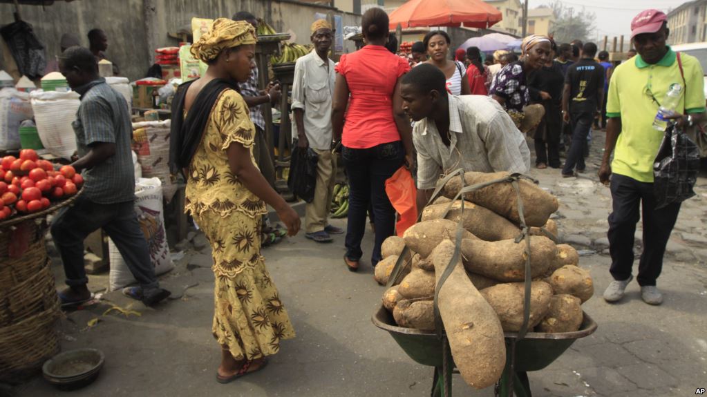 Le Nigeria commence à exporter des ignames vers l’Europe et les Etats-Unis