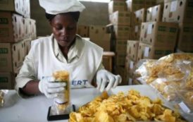 Le secteur privé propose des solutions pour débloquer le potentiel agro-industriel camerounais