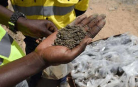 Sénégal : Avenira veut lever des fonds pour faire avancer son projet Baobab