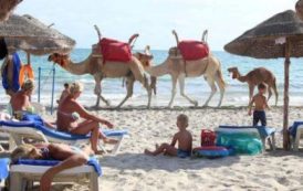 Tunisie : hausse de 46,2 % des arrivées de touristes de janvier à mai 2017