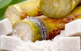 Le Gabon a produit 24 376 tonnes de sucre granulé en 2017