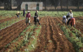 Afrique du Sud: croissance économique plus ferme que prévu en 2017, à 1,3%