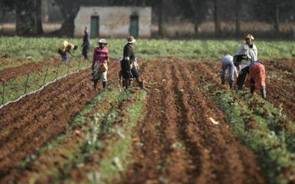 Afrique du Sud: croissance économique plus ferme que prévu en 2017, à 1,3%