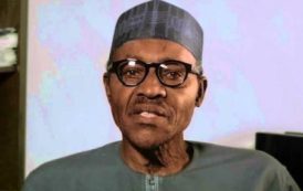 Nigeria: Buhari lance officiellement le plan de redressement et de croissance économique