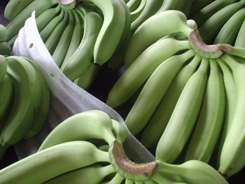 Cameroun : les exportations de banane ont chuté de 19 461 tonnes au 1er trimestre 2018, plombées par la contre-performance de la CDC