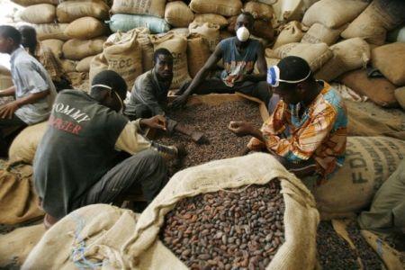 Le CCC repousse l’hypothèse d’un nouveau défaut de paiement des exportateurs de cacao en 2017/2018