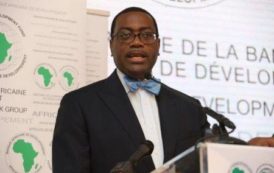 La BAD veut mobiliser 170 milliards $ pour combler le déficit infrastructurel en Afrique