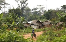 Côte d’Ivoire : le conflit foncier dans l’ouest tourne à la crise humanitaire
