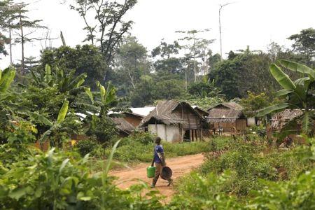 Côte d’Ivoire : le conflit foncier dans l’ouest tourne à la crise humanitaire