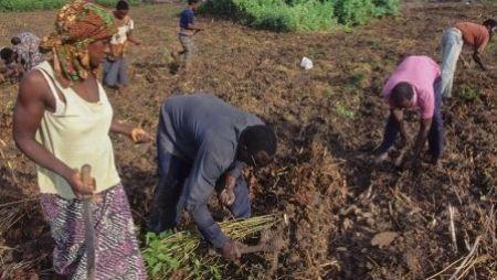 Sénégal : un forum sur la sécurisation foncière organisé à Darou Khoudoss