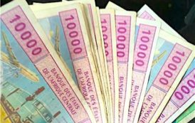 Le risque d’une dévaluation du Franc CFA CEMAC n’est pas totalement écarté, selon la COFACE