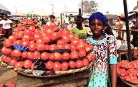 Nigéria: hausse des taxes sur les importations de tomates en vue