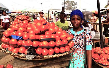 Nigéria: hausse des taxes sur les importations de tomates en vue