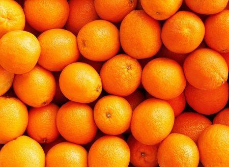 Egypte : la Nile Establishment for International Trade compte exporter 60 000 tonnes d’oranges en 2017