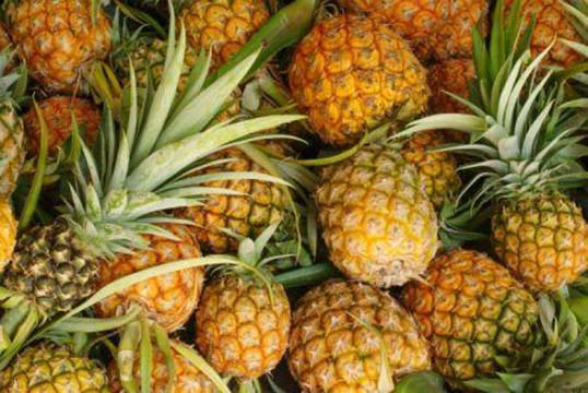 Ghana : la GEPA injectera 4,2 millions de cédis dans le développement des exportations d’ananas