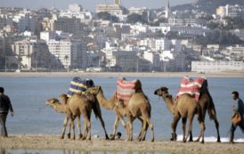 «Le Maroc à Pékin»: quand Rabat s’invite en Chine