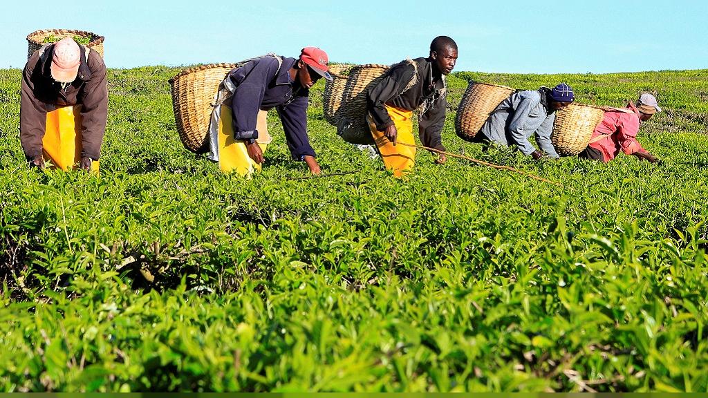 Kenya : croissance de 5, 5 % attendue en 2018