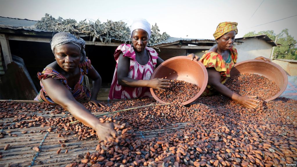 La Côte d’Ivoire va mener un audit de sa filière de cacao en difficultés